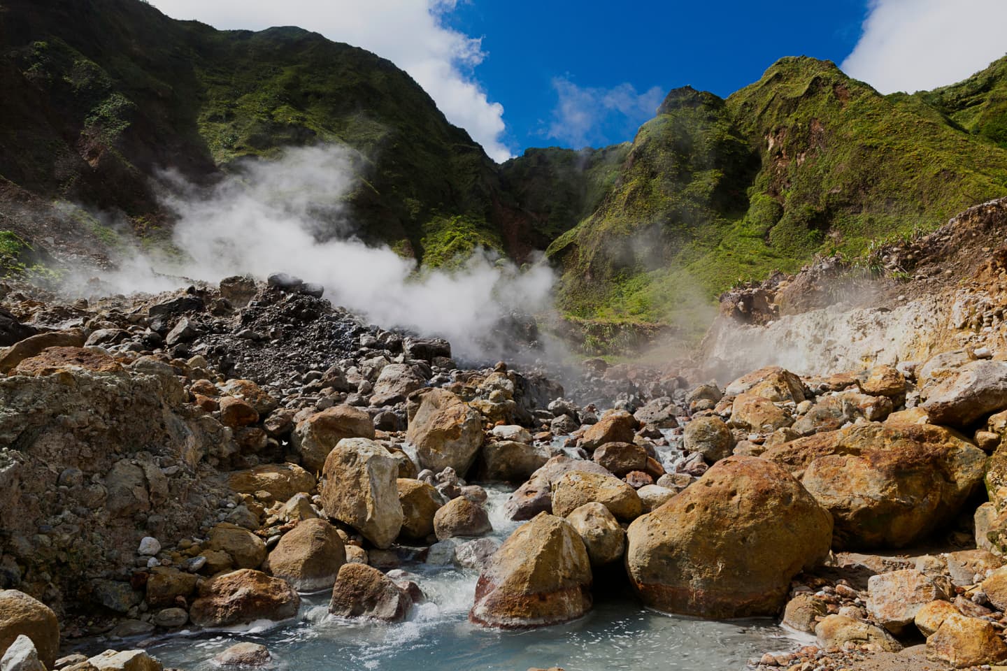 iStock.com / Tony_Herbert