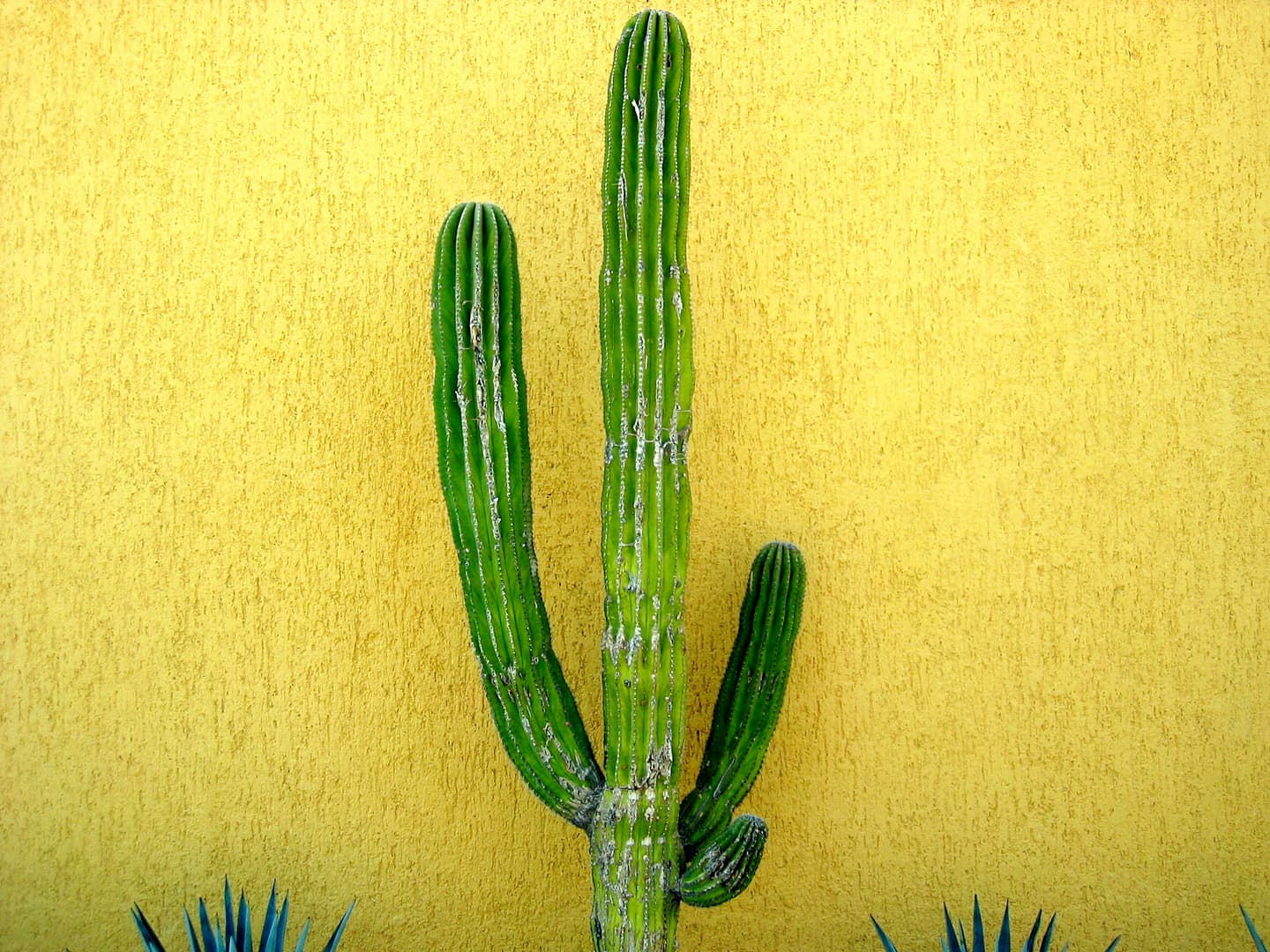 iStock.com / CGrantCampbell