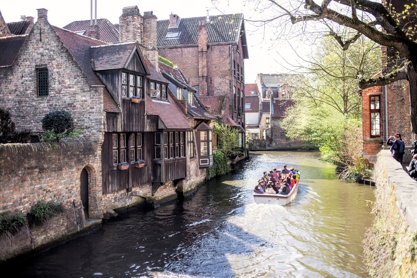 iStock.com / byakkaya