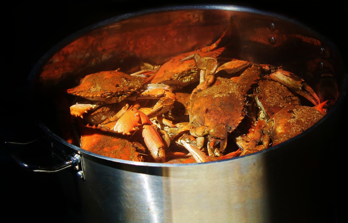 iStock.com / A_Moment_In_Time