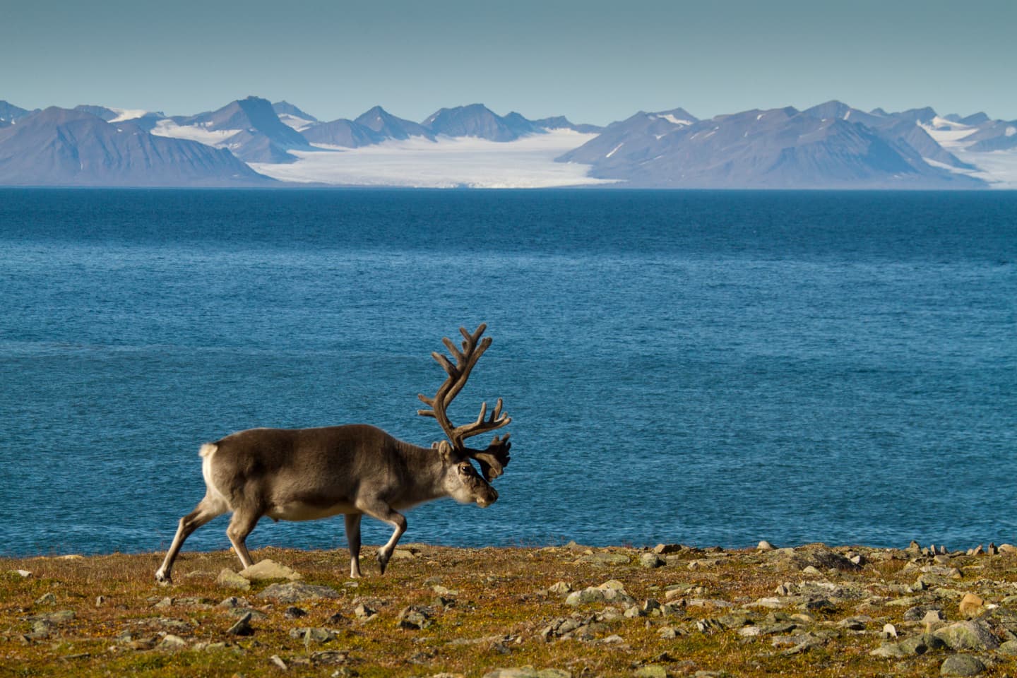 iStock.com / pum_eva