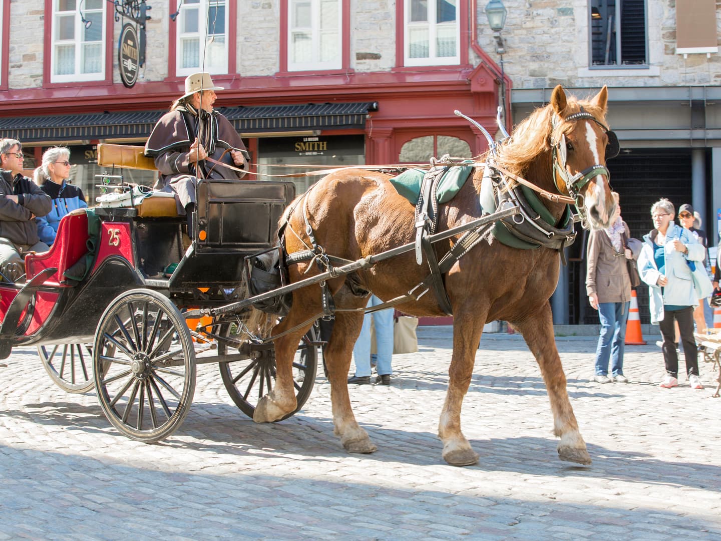 iStock.com / Jodi Jacobson