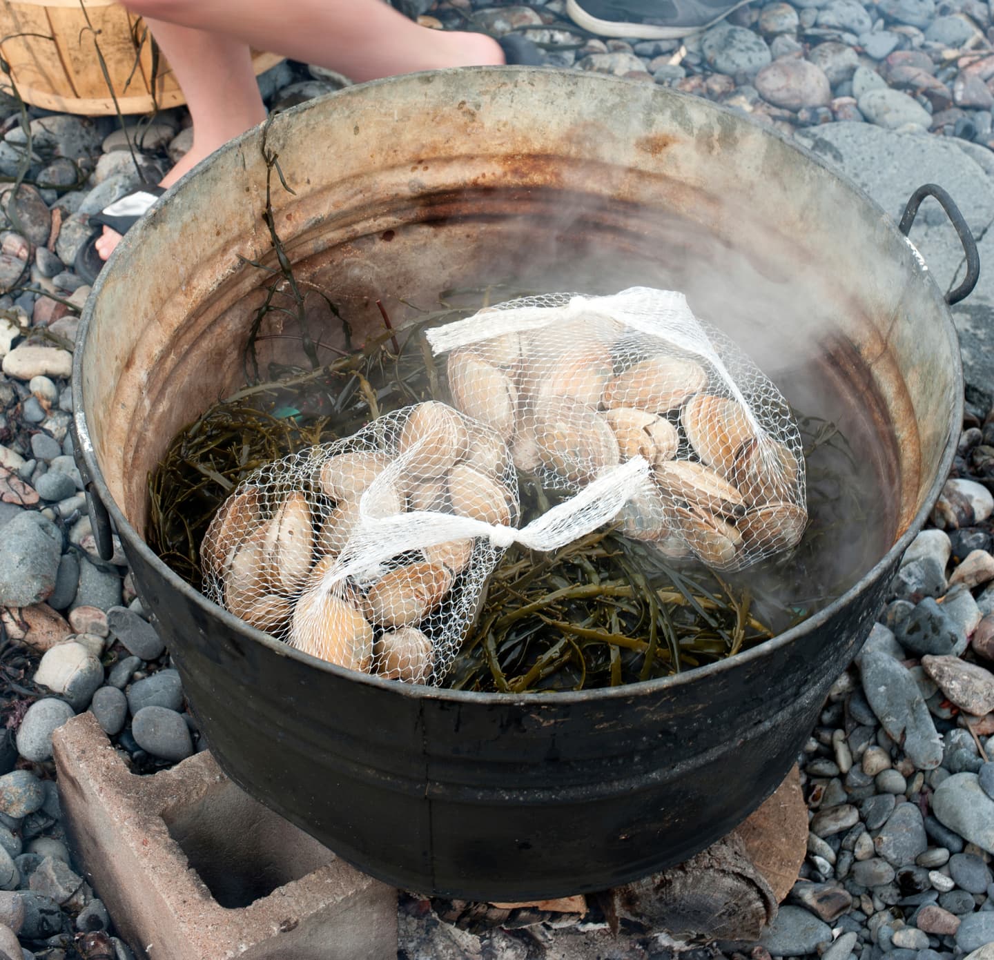 iStock.com / EJJohnsonPhotography