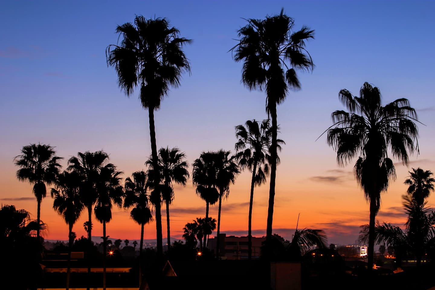 iStock.com / DougLemke