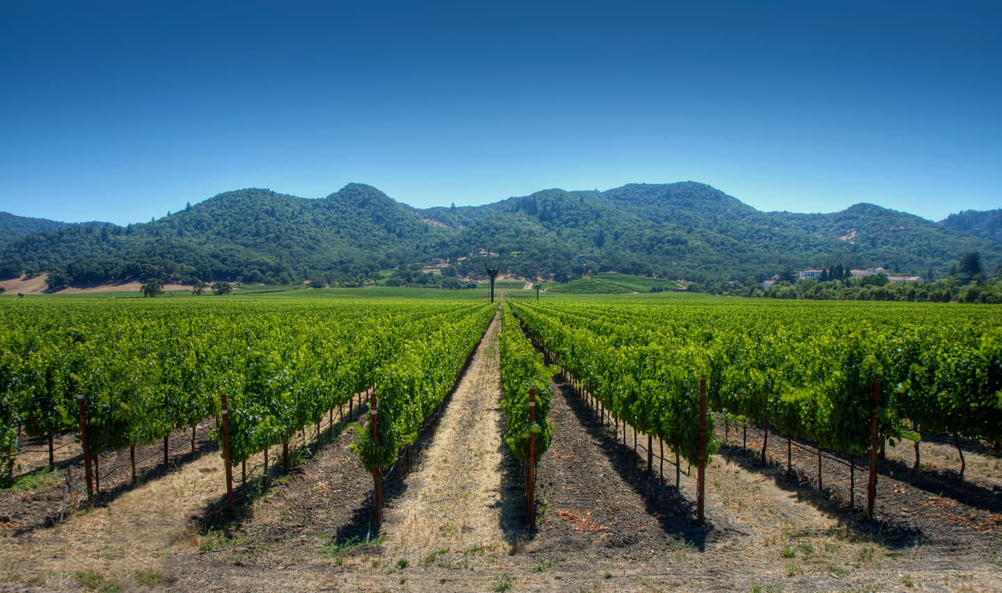 iStock.com / marslasarphotos