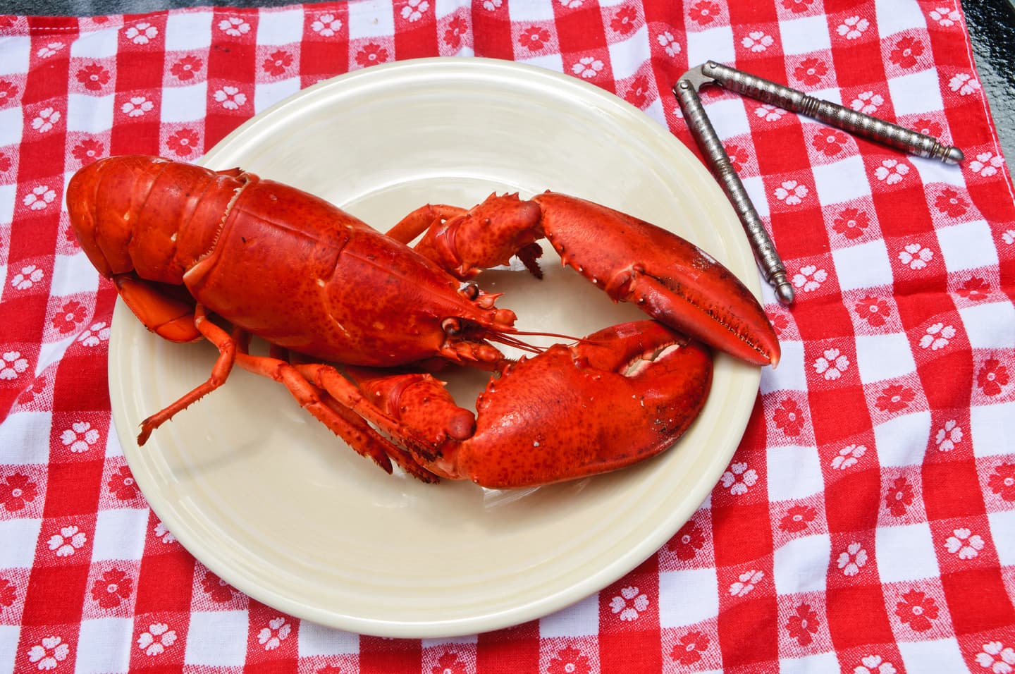 iStock.com / Kenneth Wiedemann