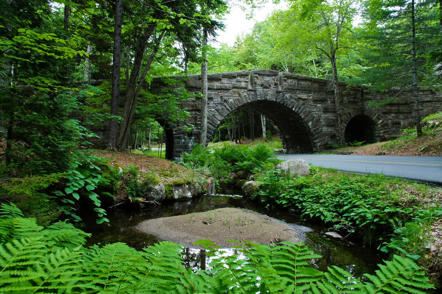 iStock.com / Bkamprath