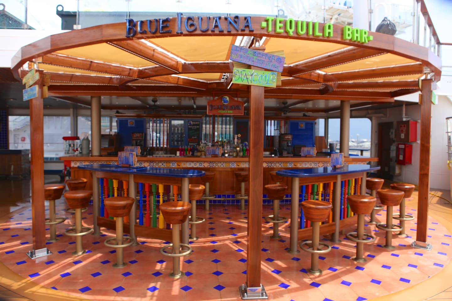 Carnival Cruise Line / Andy Newman