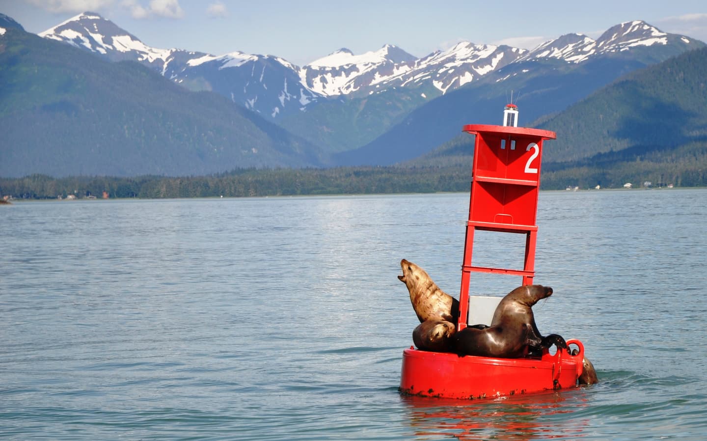 iStock.com / TheGrumpyOldMan