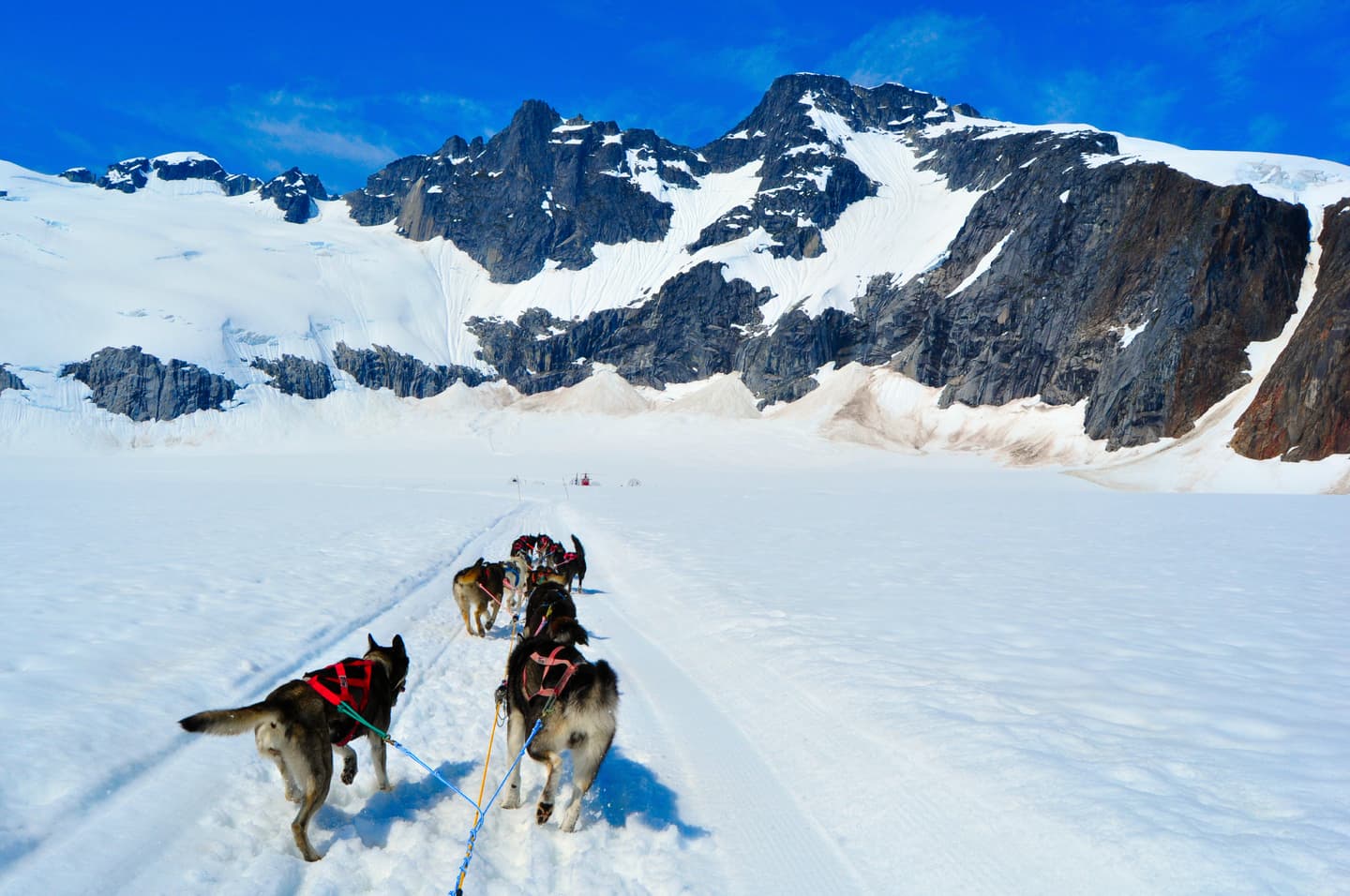 iStock.com / djangosupertramp