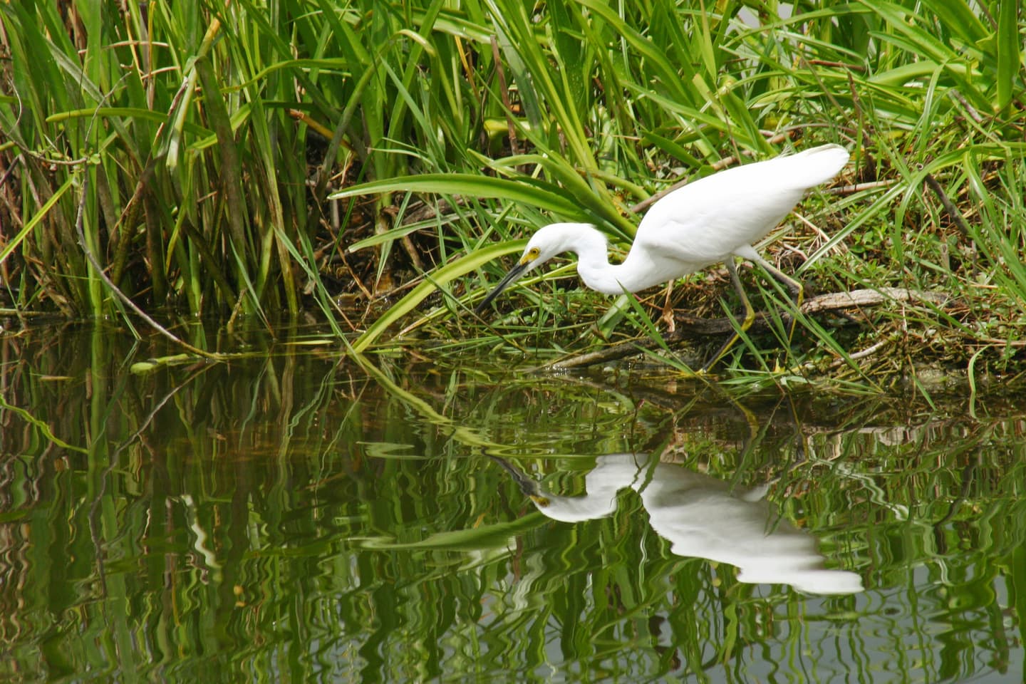 iStock.com / mtilghma