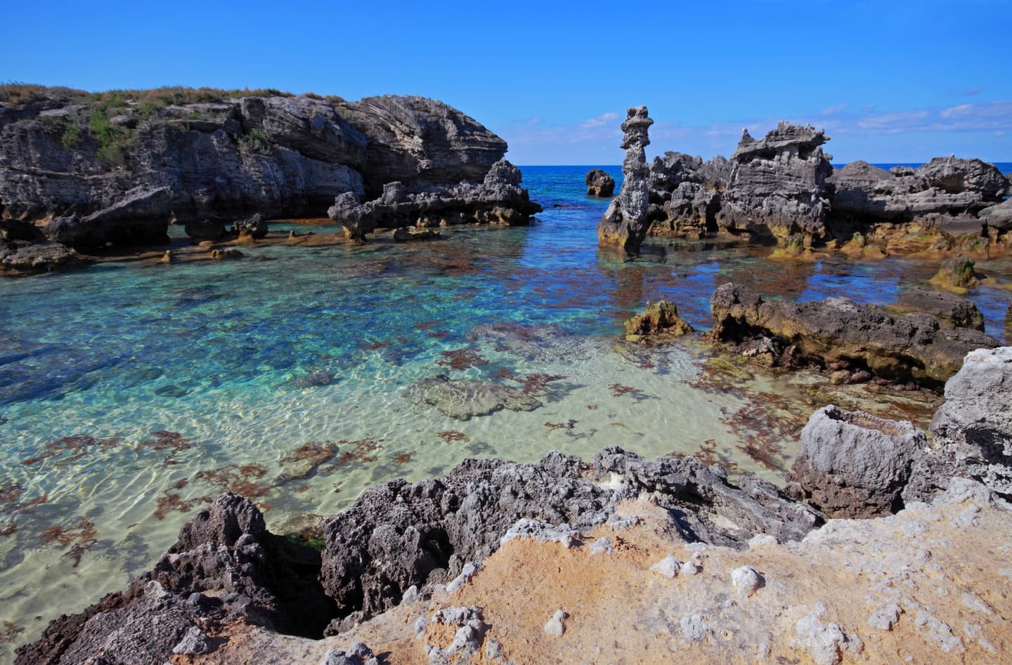 iStock.com / Orchidpoet