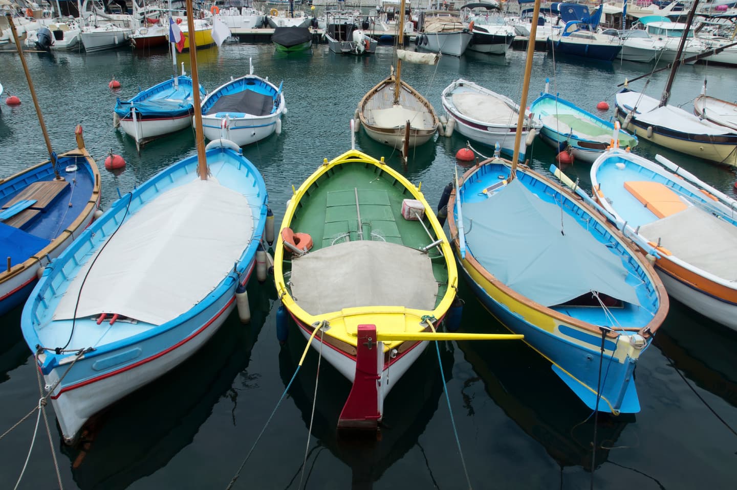 iStockphoto / venakr