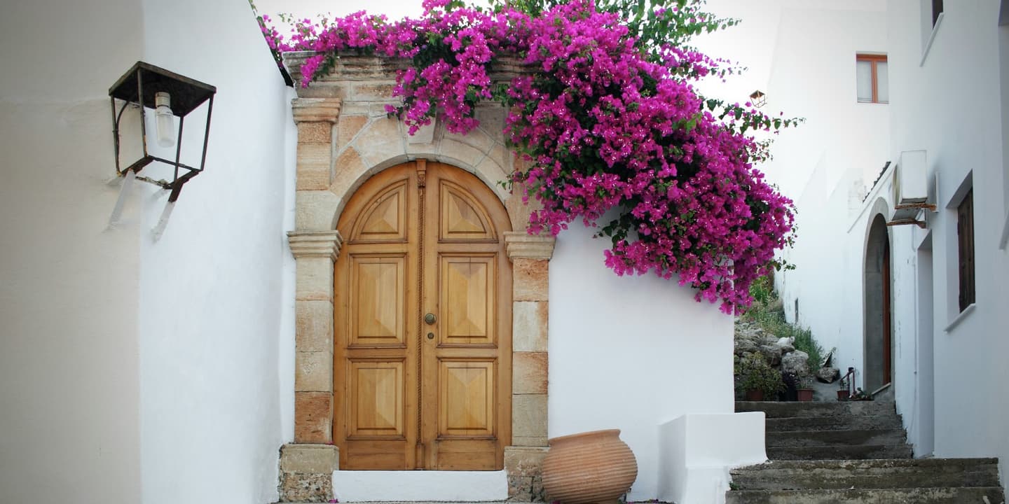 iStock.com / Claudia Lusa