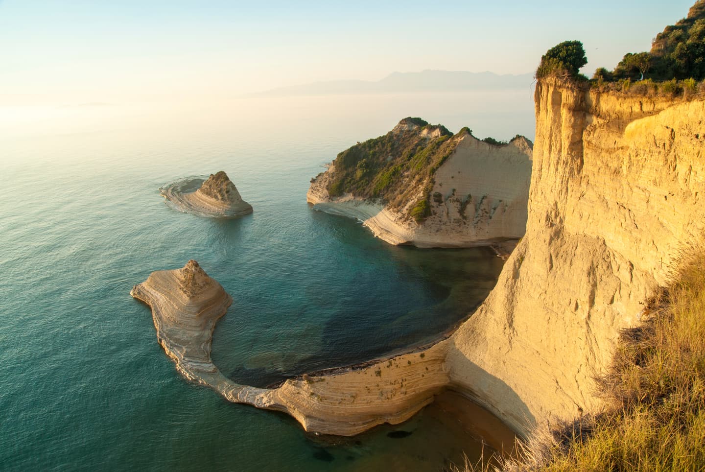 iStock.com / lucianbolca