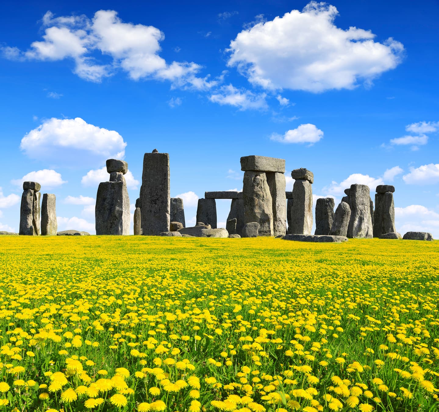 iStock.com / vencavolrab