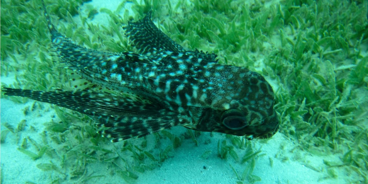 iStock.com / JohnINPIX