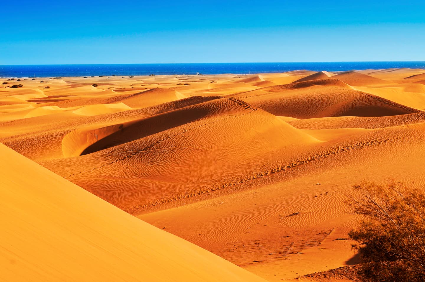 iStock.com / nito100