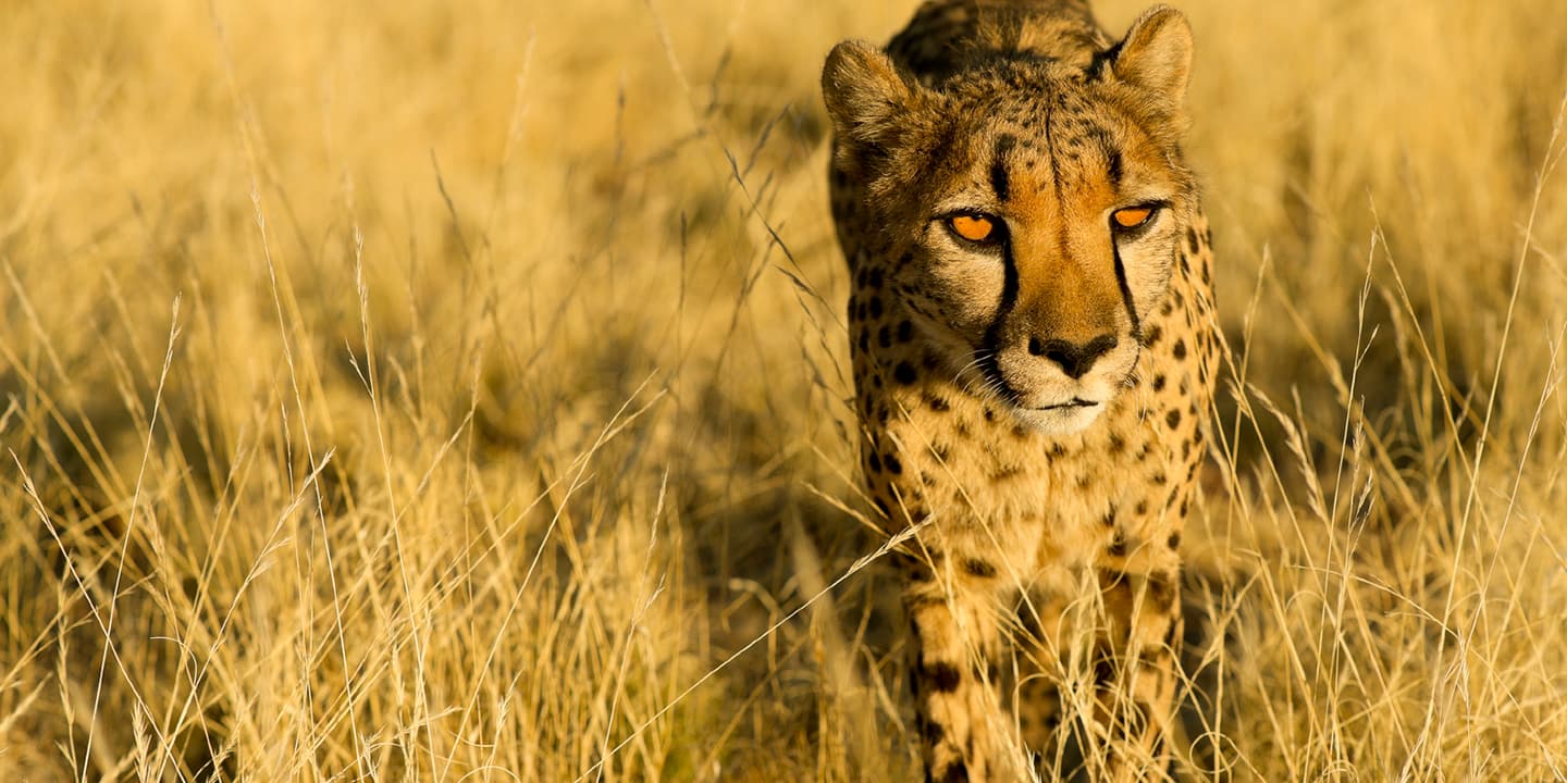 iStock.com / Jannie_nikola