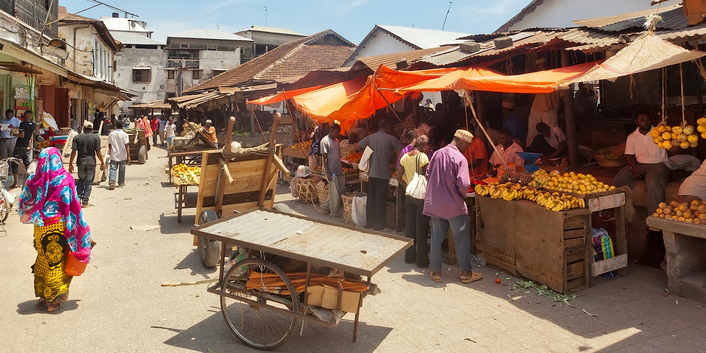 iStock.com / Anton Zelenov