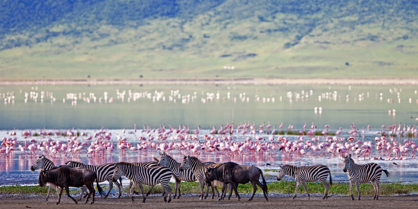 iStock.com / Pal Teravagimov