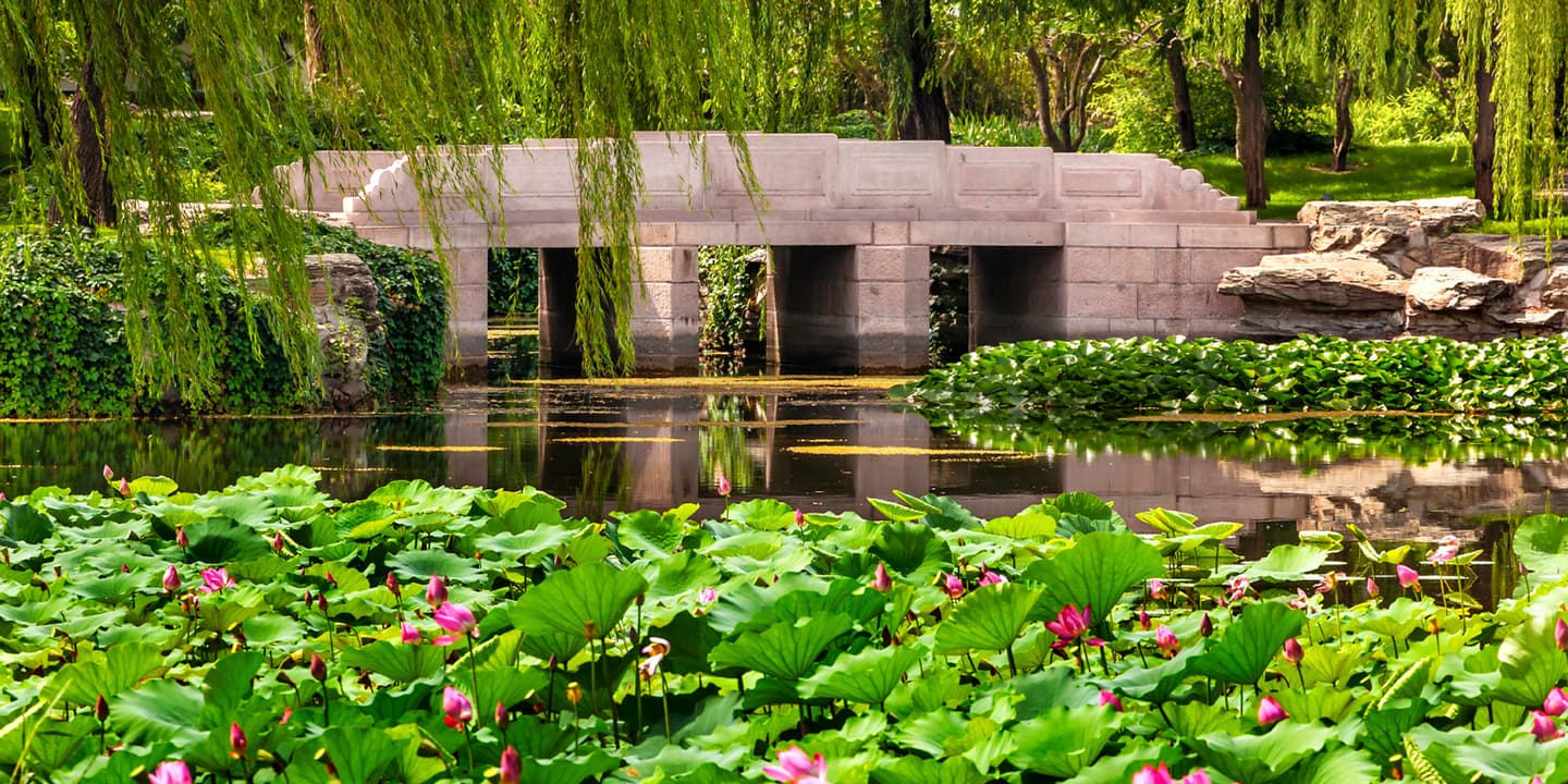 iStock.com / bpperry