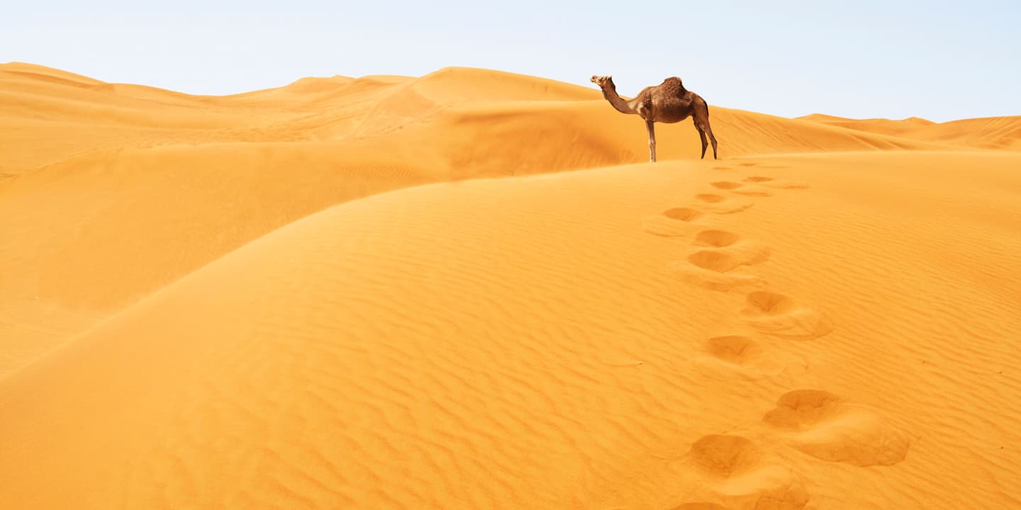 iStock.com / Hydromet