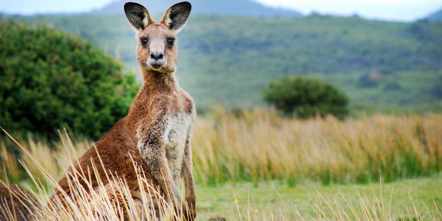 iStock.com / solarseven