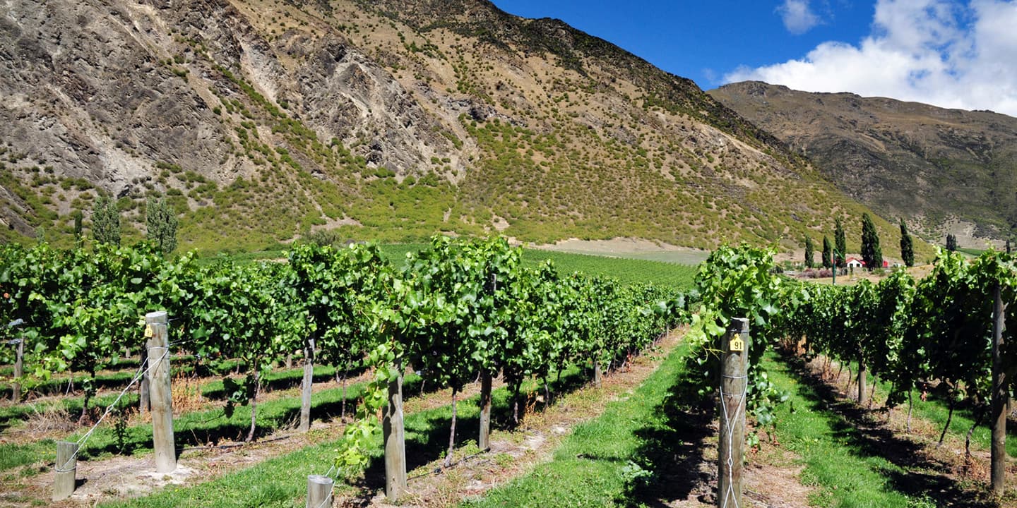 iStock.com / chameleonseye