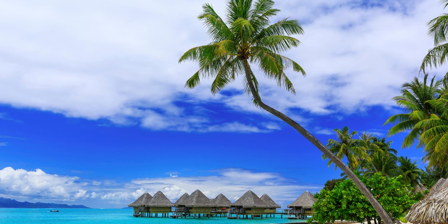 iStock.com / sorincolac