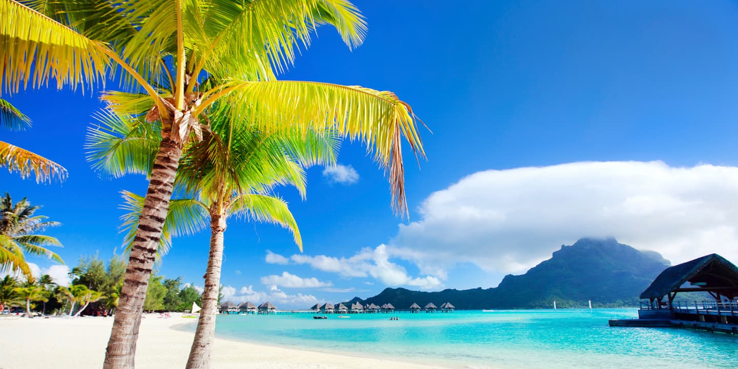 iStock.com / shalamov