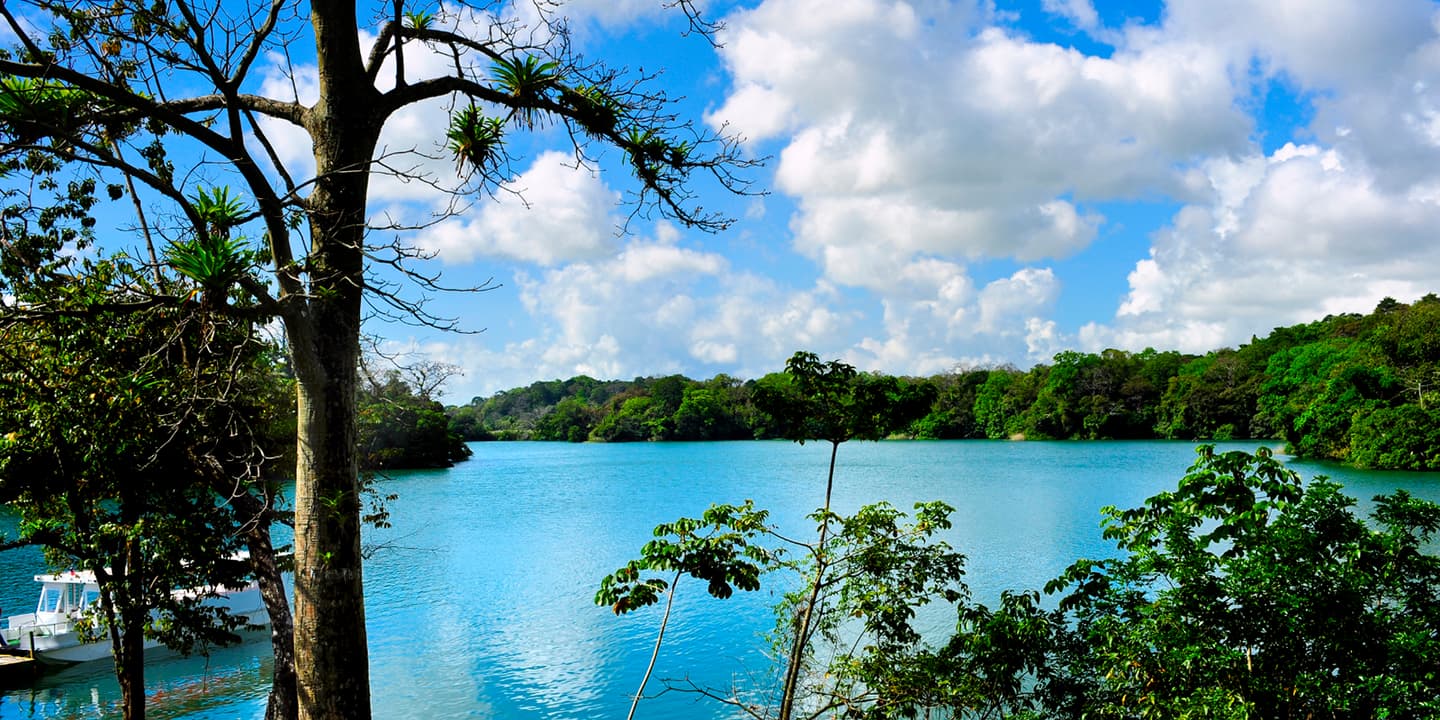 iStock.com / DonFink