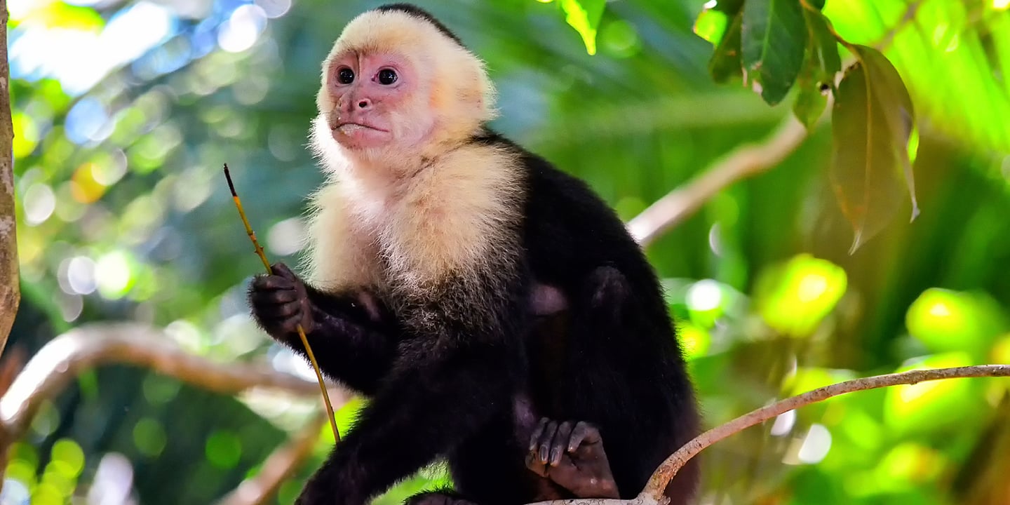 Puntarenas, Costa Rica