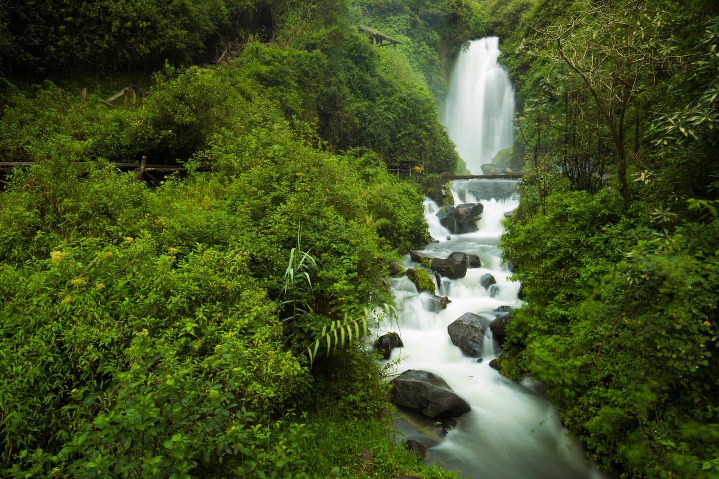 iStock.com / brendanvanson