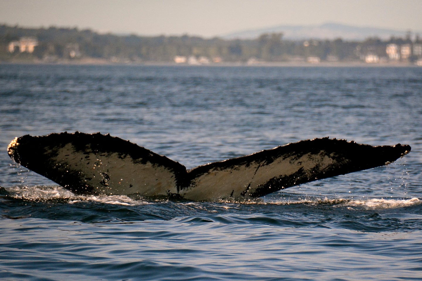 Victoria, British Columbia