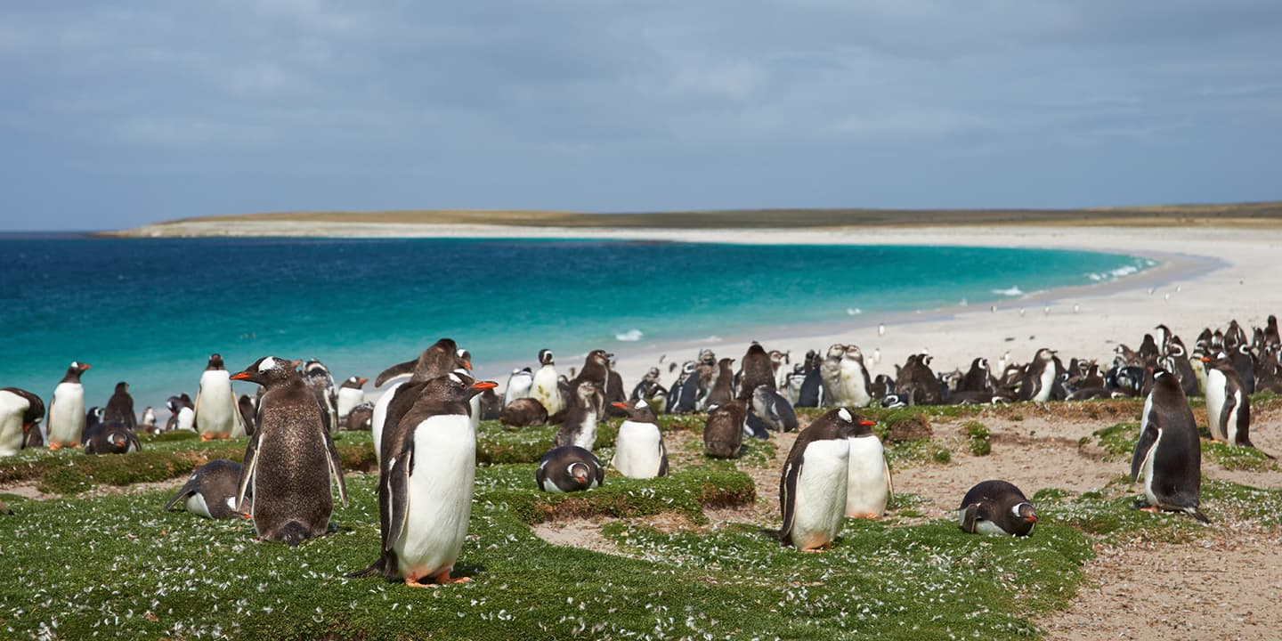 iStock.com / Jeremy Richards