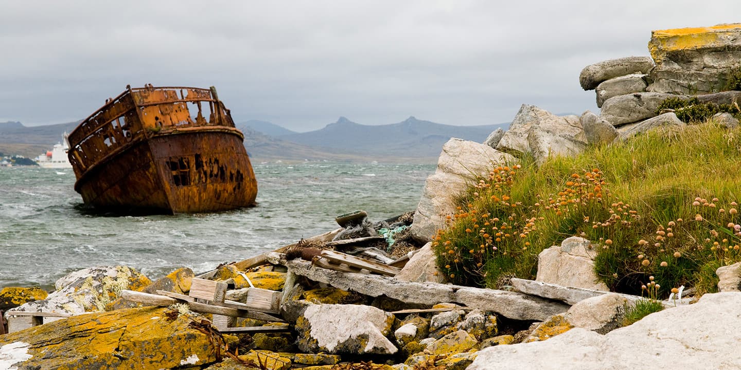 iStock.com / RichLindie