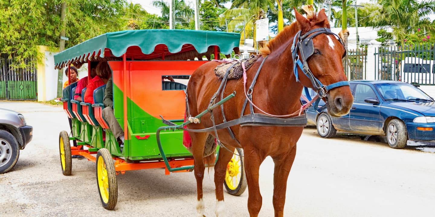 iStock.com / Simplyphotos
