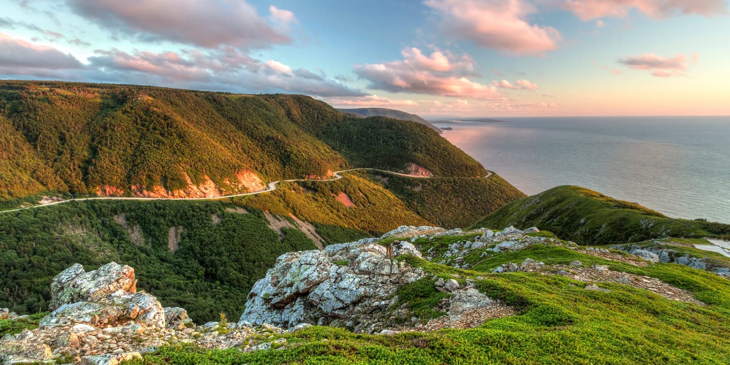 iStock.com / lightphoto