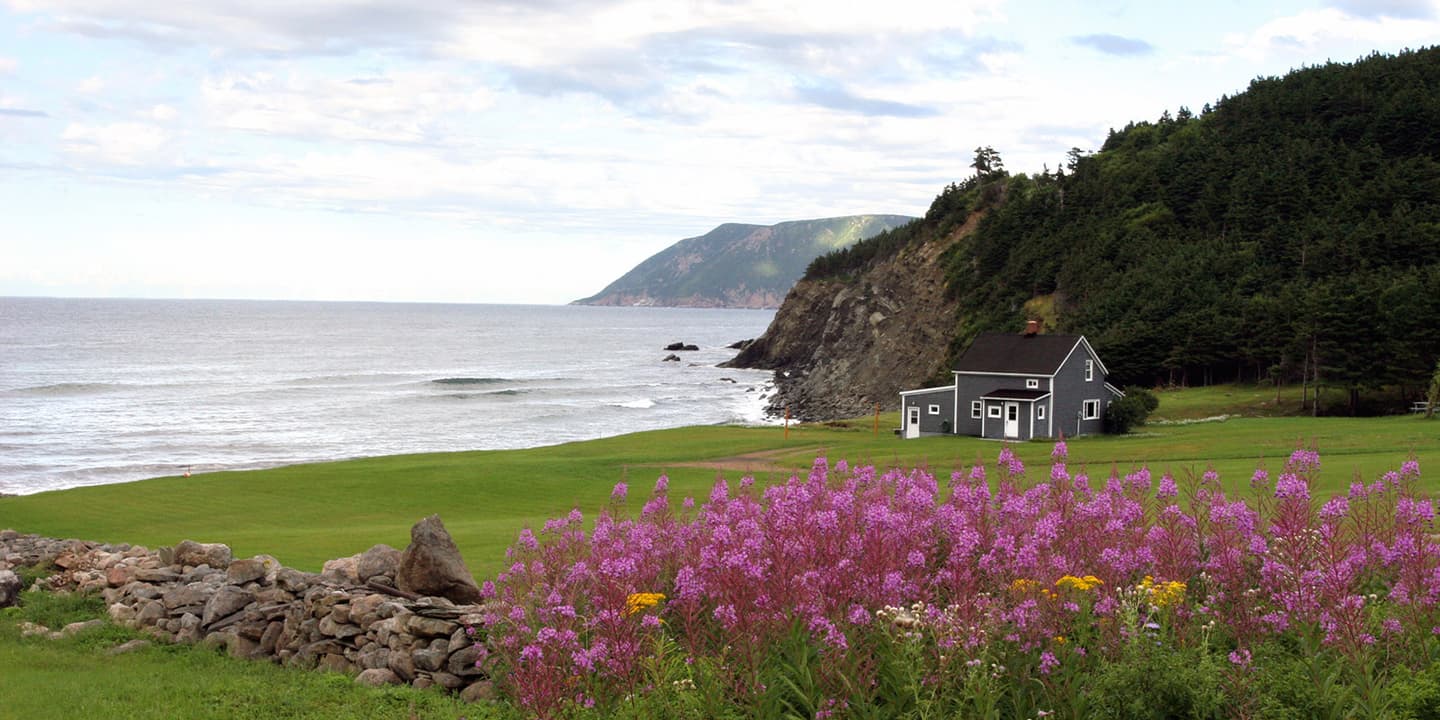 iStock.com / Vladone