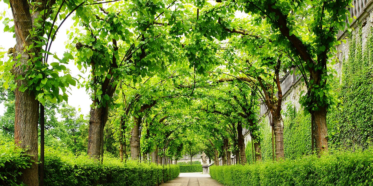 iStock.com / vidalidali