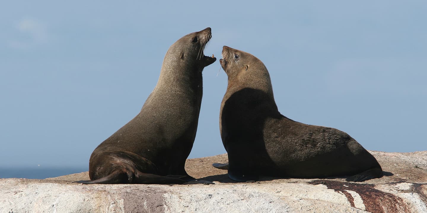 iStock.com / Mensovw