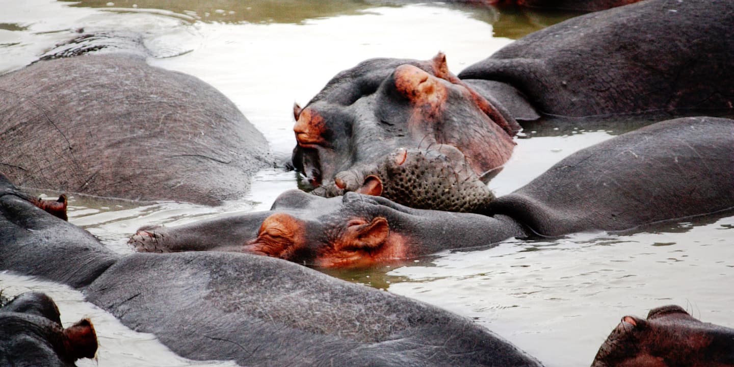 iStock.com / ClaraNila