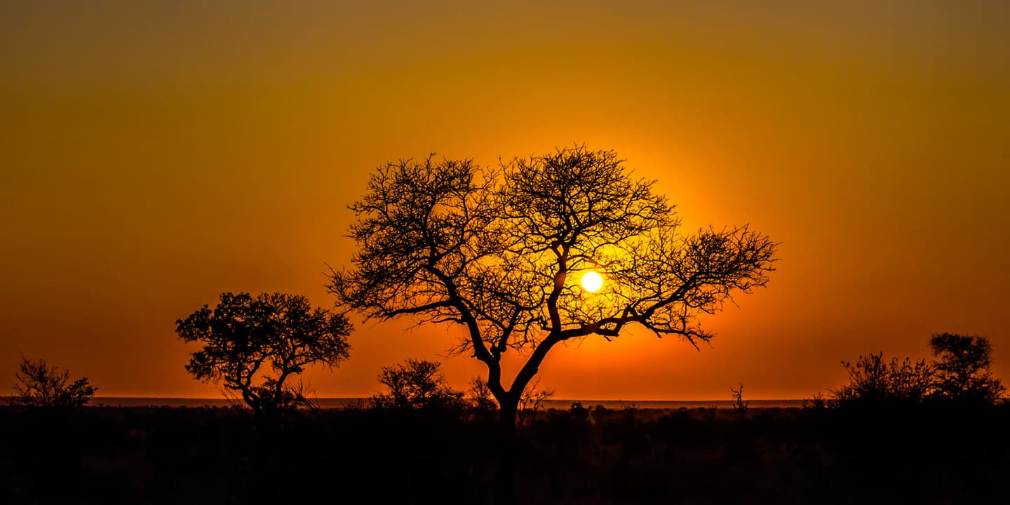 iStock.com / bennymarty