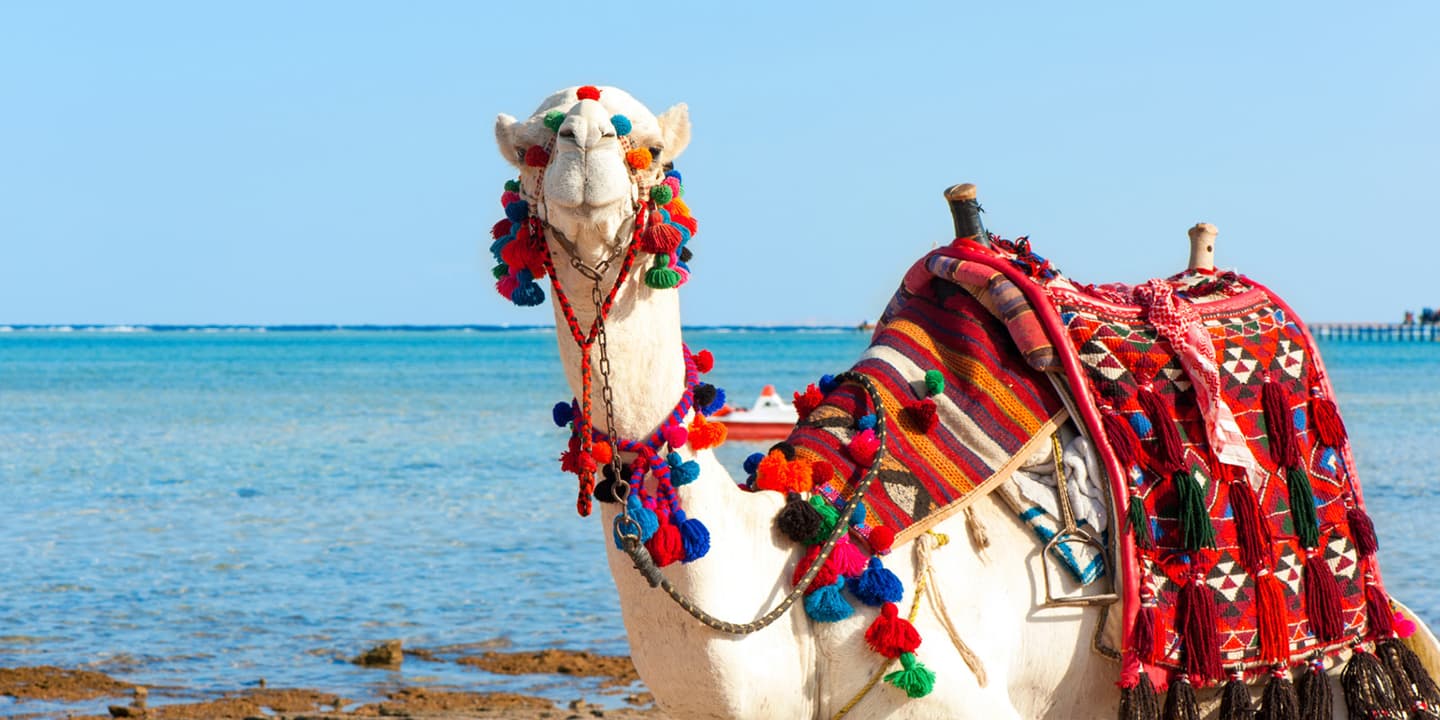 iStock.com / AnnaElizabethPhotography