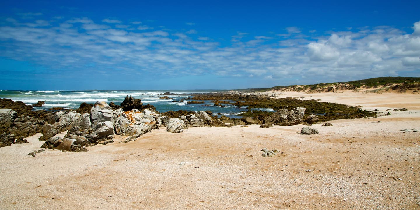 iStock.com / Lizél Lindsay Basson