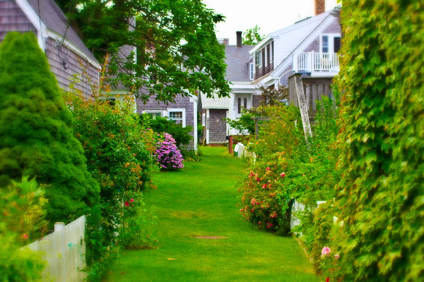 iStock.com / Melhem Gharazeddine