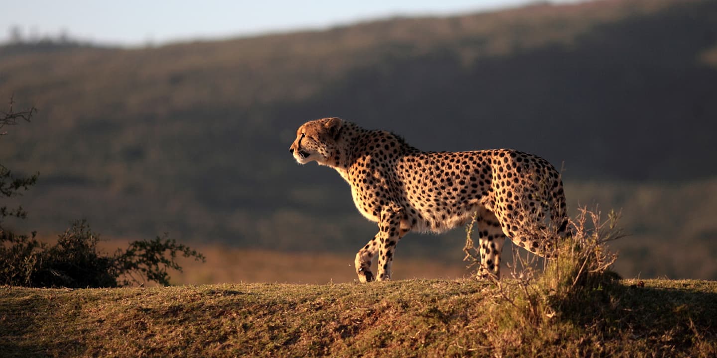 iStock.com / fishcat007