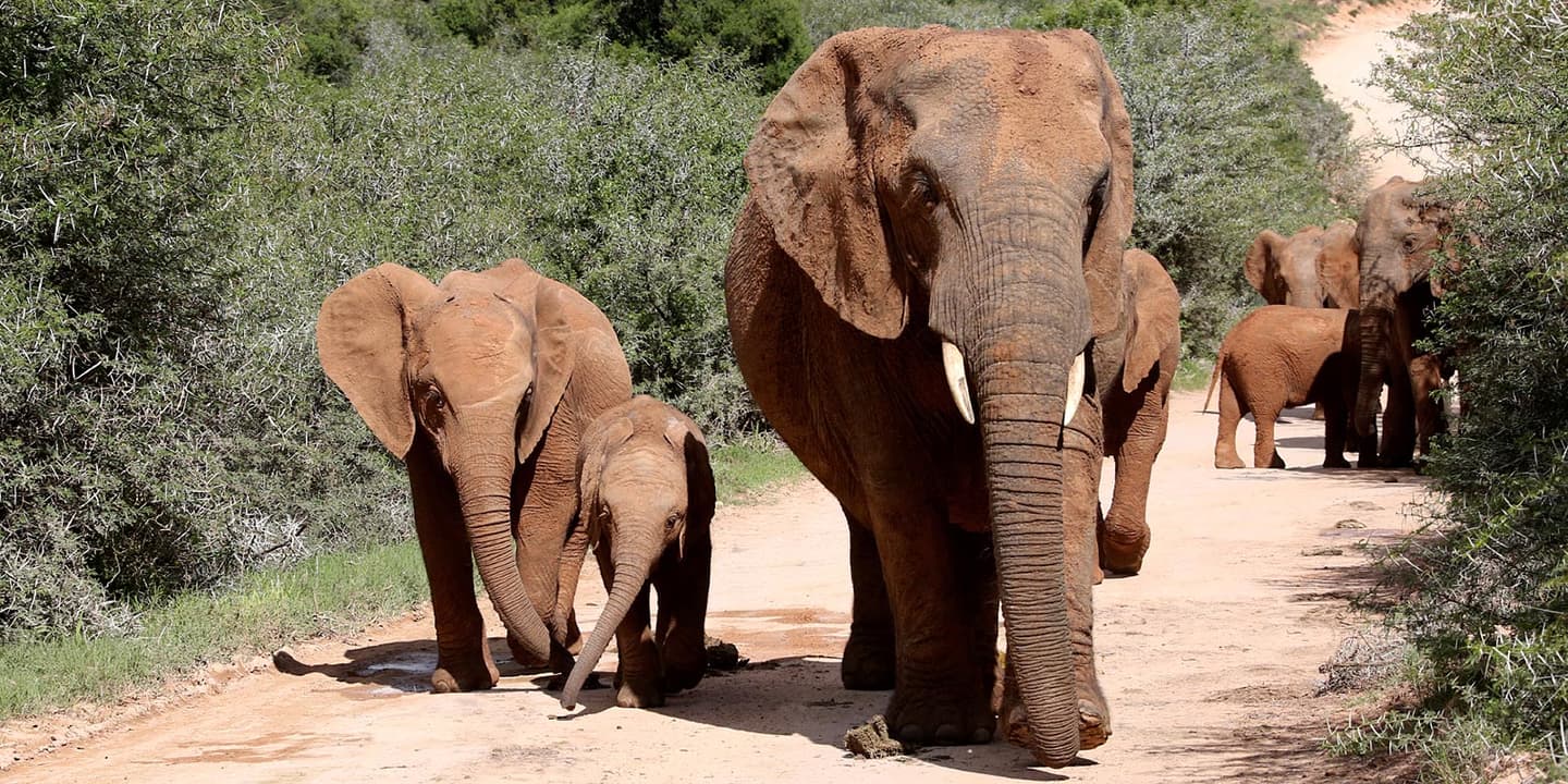 iStock.com / PeakMystique