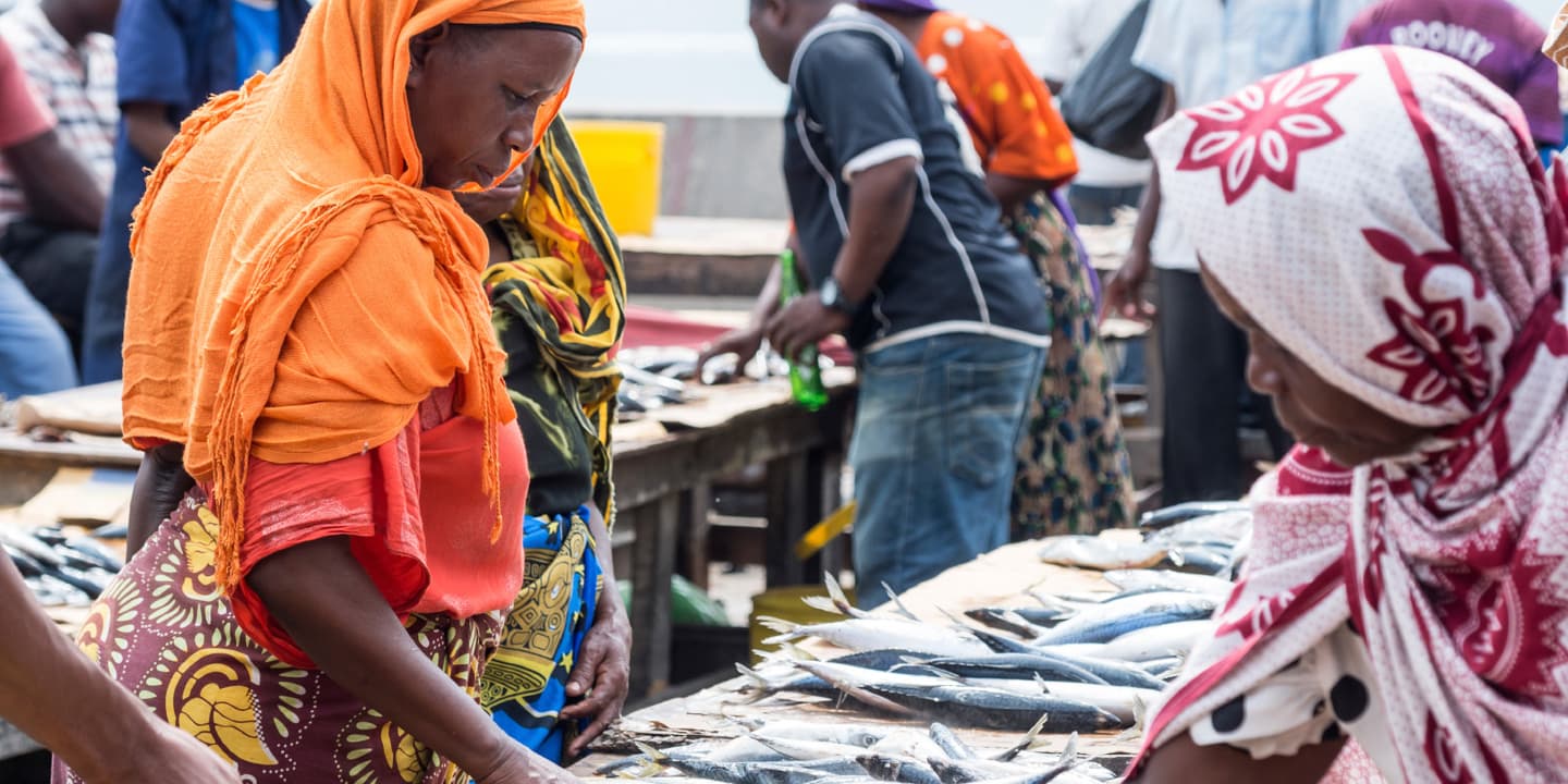 iStock.com / Sohadiszno